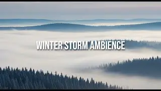 Winter Forest Blizzard Ambience | Snowstorm Sounds for Sleep, Focus, and Relaxation