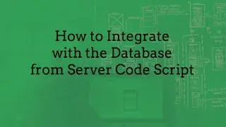 How to Integrate with the Database from Server Code Script