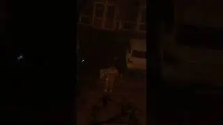 Cocalari care &icirc;și &icirc;mpart praful de vise și fac prețurile. 10.12.2025 ora 22:55 . București