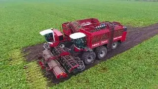 Agrifac 12 row Sugarbeet harvesting | R&uuml;benernte | holmer Hexx Traxx |  Gilles overlaadwagen