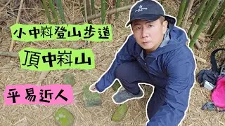 小中嵙步道頂中嵙山O形│登山調查│很棒的郊山步道│有景視野開闊│起點終點東勢客家文化園區│有廁所│離鎮上很近│CP值很高但很少人知道│12月23日