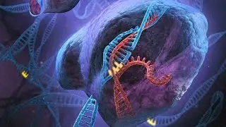 Evolution of CRISPR: A Prokaryotic Adaptive Immune System | Alexander Lobkovsky