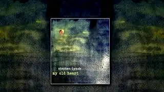Stephen Lynch - A (Birthday) Song for You (LIVE)