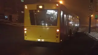 Вечерняя поездка на МАЗ 203.069. Номер автобуса 5338. Номер маршрута 40
