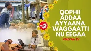 QOPHII ADDAA, AYYAANA WAGGAATTI NU EEGAA!  | MO'AA TV