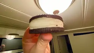 MOST STUFF Oreo Taste Test