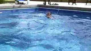 The Swimming Mini