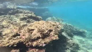 Sequence sea