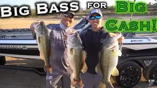 Lake O.H. Ivie Winter Bass Fishing Tournament! Hunting For A Few Giant Bass!!! Travel VLOG #5
