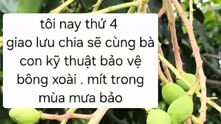 giao lưu chia sẽ ky thuật lam xoai