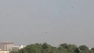 Hanif Malik Power Hitting 2