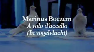 Marinus Boezem,  A volo d'uccello