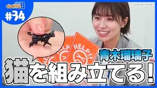 【猫】チトセリウム新作プラキットを組んでみた！【グッスマTV！】青木瑠璃子