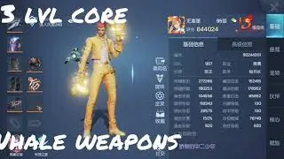 Dragon Raja Gunslinger's weapon lvl core effect 10-14