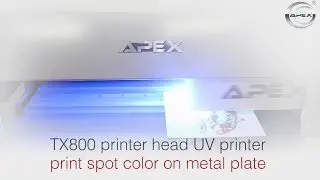 TX800 printer head UV printer print spot color on metal plate