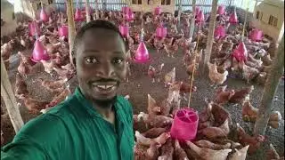 SMART MONEY 2 FROM STETHOSCOPE TO CHIKENS