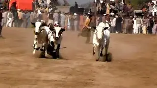 HAMZA SKY VIDEO FATEH JANG
