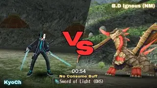 Solo Dual Sword Vs Burning Dragon Igneus (Nightmare) - Toram Online