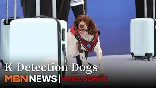 K-Detection Dogs Impress: Korea&rsquo;s Elite Canines Track Drugs and Explosives Instantly