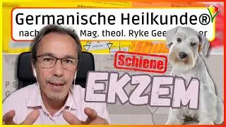 Ekzem wegen Hund (Schiene) ⎮ Fallbeispiel ⎮ Germanische Heilkunde&reg;
