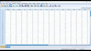 Moderating Variable- Regression Analysis