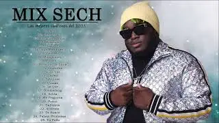 Mix Sech | Sus M&aacute;s Grandes &Eacute;xitos 2021 | Reggaeton Mix 2021