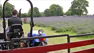 Tractor Ride at Lavender Farm. Lavender Fields!