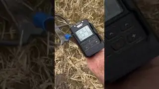 4000 ЛЕТ &mdash; ГРАНДИОЗНОЕ НАХОДКА, СДЕЛАННАЯ С ПОМОЩЬЮ МЕТАЛЛОДЕТЕКТОРА В ШОТЛАНДИИ