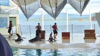 Ocean adventure subic 12.05.2025