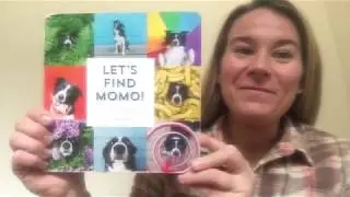 Book: Let's Find Momo by Andrew Knapp