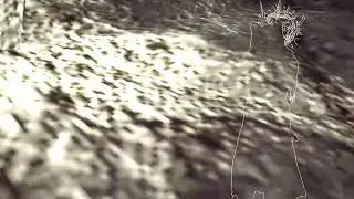 PS5 狩獵日常，巨戟or 護石日常