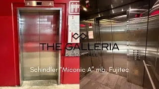 Schindler 