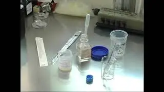 Density Gradient