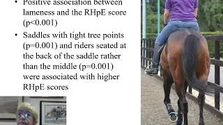 EVE Video Abstract, No 11, Gait abnormalities and ridden horse behaviour