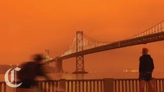 San Francisco Wakes Up to 