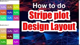 Design layouts SPD | Generate Design Layouts for field and lab experiments |strip plot design layout