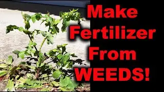 How To Make Your Own Fertilizer...From Weeds