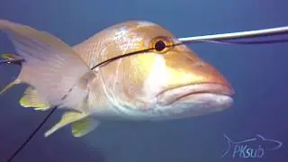 Captura Dent&atilde;o em toca - PKsub