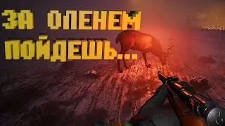 АНОМАЛЬНЫЙ ОЛЕНЬ | Expedition Zero часть 11 / |ТРЕШ| прохождение хоррор игр /expedition zero full