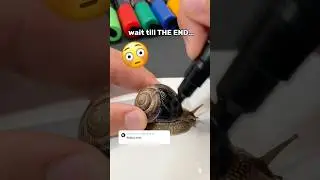 Drawing ROBLOX on a Real SNAIL! Wait till the END&hellip;🐌🖍️#shorts