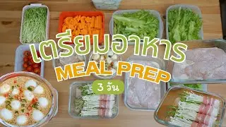 Meal Prep เตรียมอาหารสำหรับ 3-5 วัน สะดวก ประหยัด โปรตีนสูง ดีต่อสุขภาพ | แฟนผมเป็นสาวhealthy