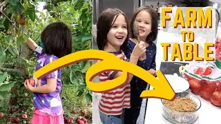 Apple Picking at Weed Orchards & Winery | Our Kids Making Apple Crisp [Farm to Table FTW!]