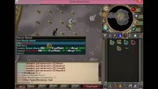 Loot from 500 ::skavid Divine-Revolution RSPS