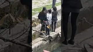 Nepali College Girls In TikTok 😂😂