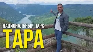 Мега Шедевр Сербии/ Четвёртый день на Балканах
