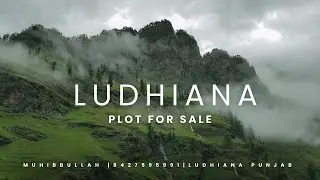 MAIN TIBBA ROAD COLONEY|MUHIBBULLAH |LUDHIANA PUNJAB