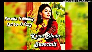 Kene Bhalobasechhili (Slowed +Reverb) Shikari Kumar | Sarthak Official Lofi | Purulia Old Lofi Song