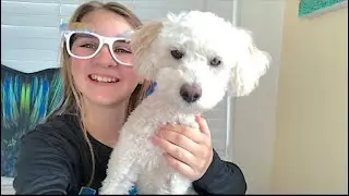 Toy unboxing | Beverly Hills Teddy Bear | Theekholms