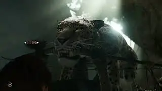 FIGHT WITH THE JAGUARS ,SHADOW OF THE TOMB RAIDER
