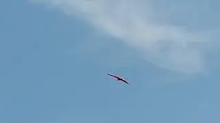 OldGliders SZD-6X Nietoperz first flight